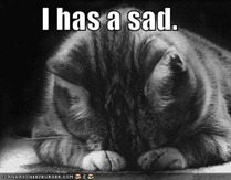 funny-pictures-sad-cat-blackandwhit